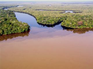 Home  Conservation Areas in Brazil