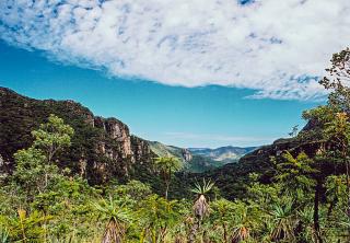 As melhores trilhas em Colniza, Mato Grosso (Brasil)