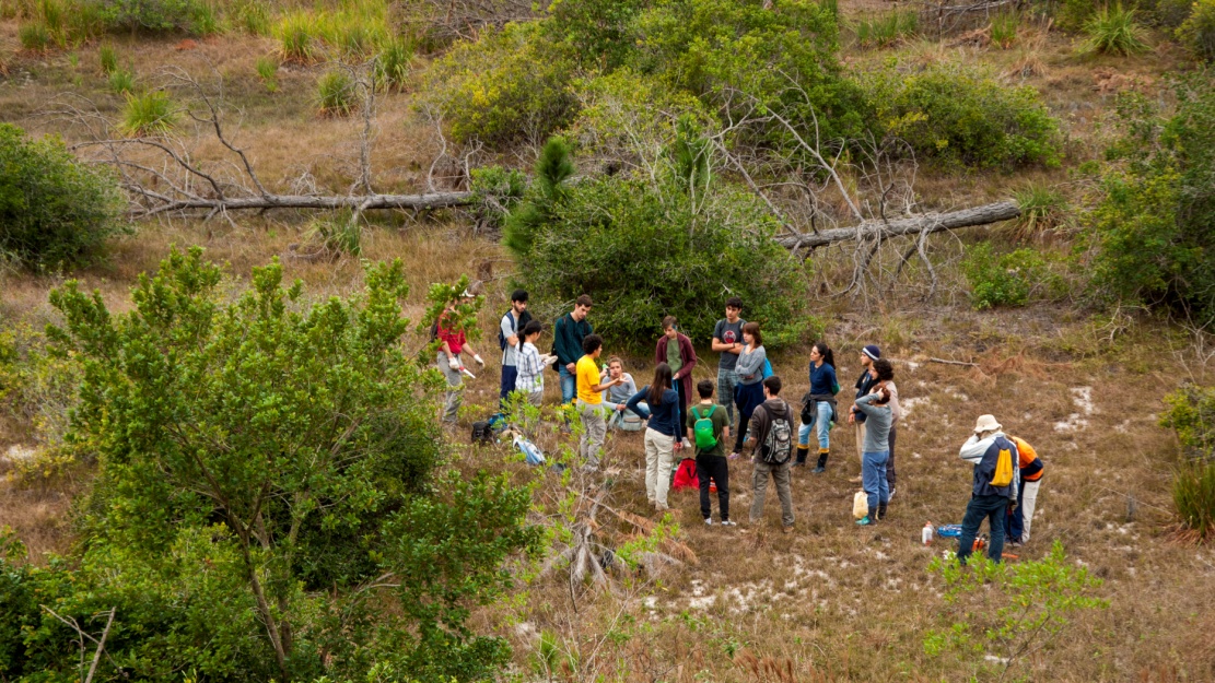 Voluntários reunidos antes do começo do mutirão de controle de pínus invasores no Parque Natural Municipal das Dunas da Lagoa da Conceição (Florianópolis, SC). Foto: Rafael Barbizan Sühs.