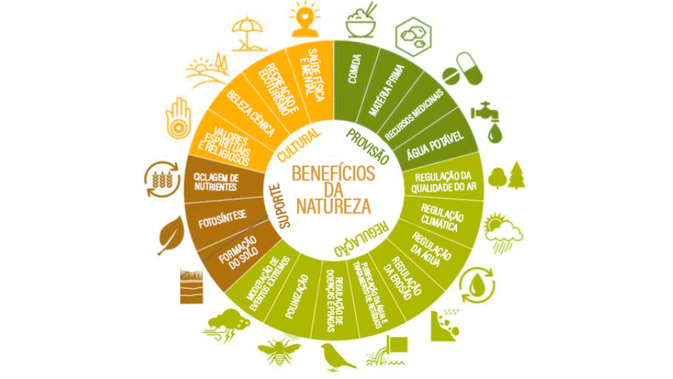 Serviços ecossistêmicos